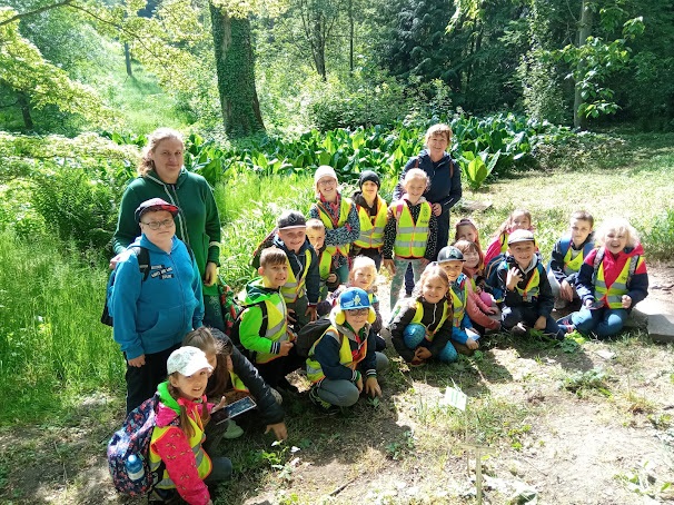 Tutaj powinien być opis