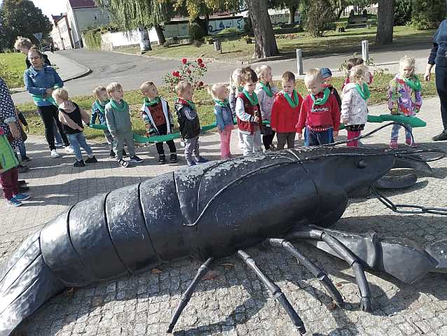 Tutaj powinien być opis