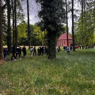 Image116 1747059815717