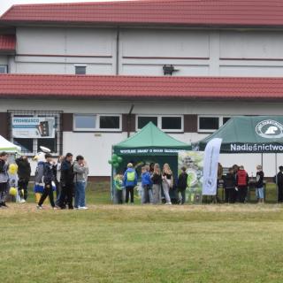 Image172 1f31aed8 19bf 48cc 81ae A5222f392479 Kopia