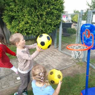 Image485 53ec60d4 70b9 4226 9f5e Abb43f576caf