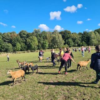 Image507 20250924 105335 Copy