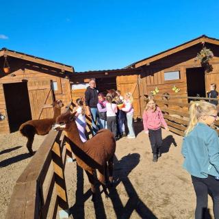 Image509 20250924 104737 Copy