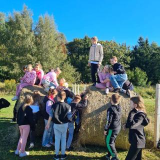 Image510 20250924 095125 Copy