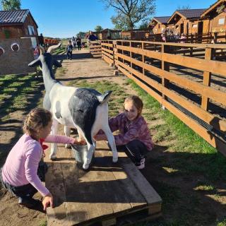 Image511 20250924 094718 Copy