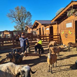 Image512 20250924 091628 Copy