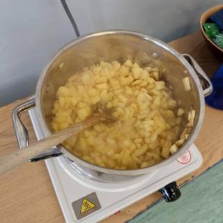 Image560 10000192481