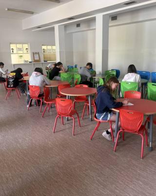 Image1244 Zdjecie 3